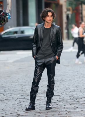 Timothee Chalamet pic #1329631