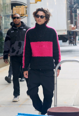 Timothee Chalamet pic #1329632