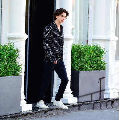 Timothee Chalamet pic #1329633