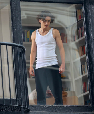 Timothee Chalamet pic #1332762