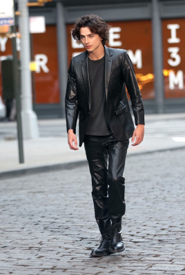 Timothee Chalamet pic #1342253