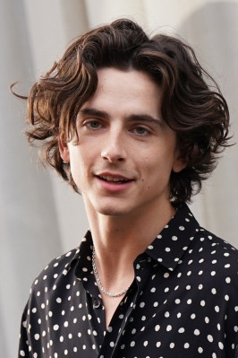 photo 26 in Chalamet gallery [id1353996] 2024-07-17 00:00:00