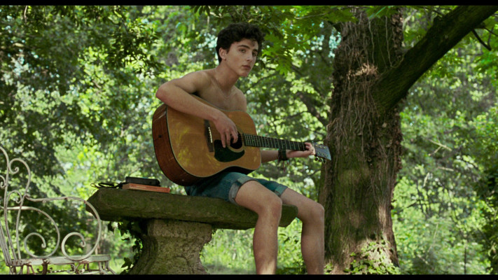 Timothee Chalamet pic #1334131