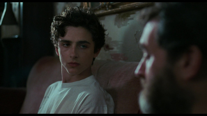 Timothee Chalamet pic #1334132