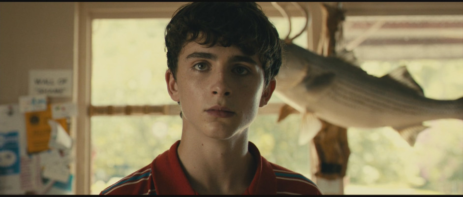 Timothee Chalamet pic #1307787