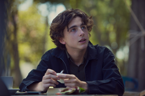 Timothee Chalamet pic #1309403