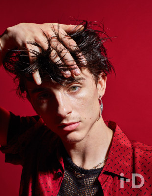 photo 26 in Chalamet gallery [id1325524] 2023-04-08 00:00:00