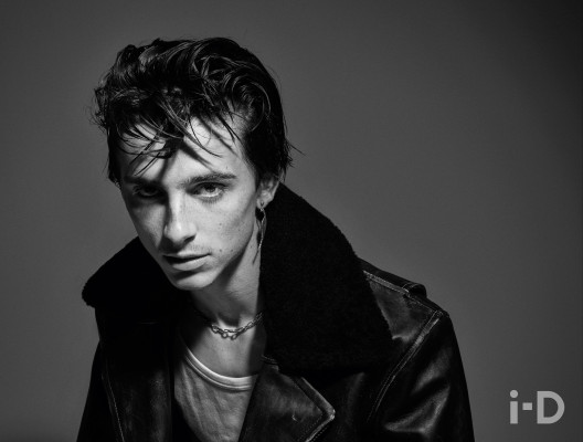 Timothee Chalamet pic #1325519