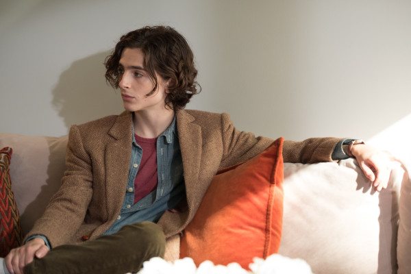Timothee Chalamet pic #1333462