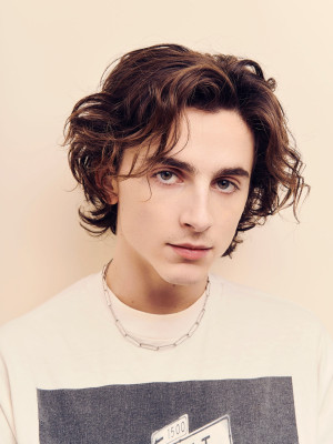 Timothee Chalamet pic #1284461