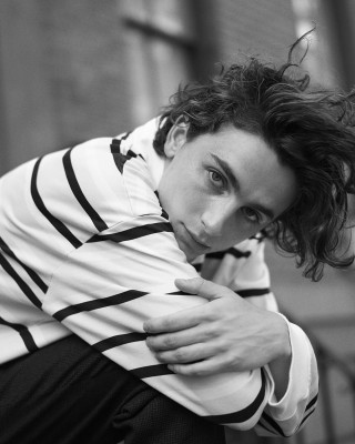 Timothee Chalamet pic #1292298