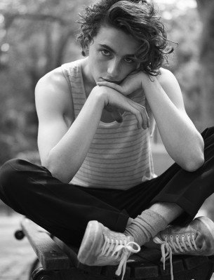Timothee Chalamet pic #1292302