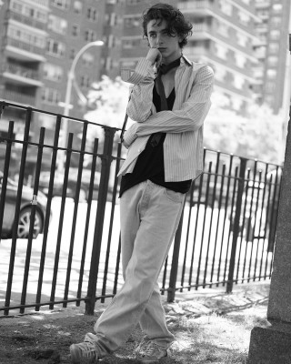 Timothee Chalamet pic #1292297