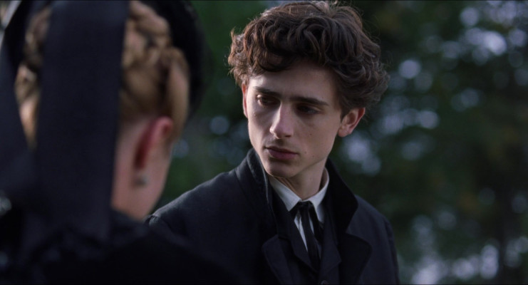 Timothee Chalamet pic #1312333