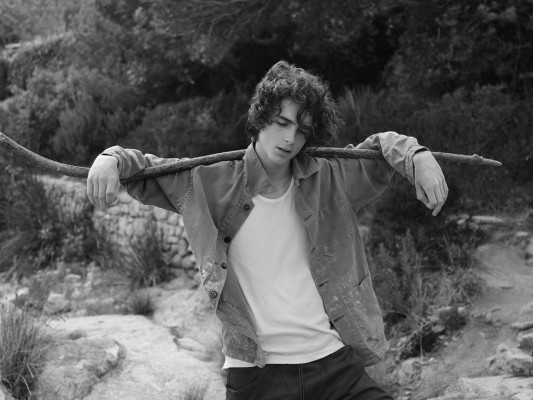 photo 22 in Timothee Chalamet gallery [id1356246] 2024-09-05 00:00:00