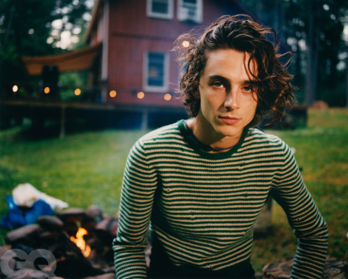 Timothee Chalamet pic #1295865