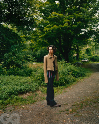 Timothee Chalamet pic #1295850