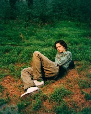 Timothee Chalamet pic #1295849