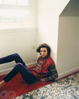 Timothee Chalamet pic #1295855
