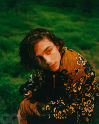 Timothee Chalamet pic #1295857