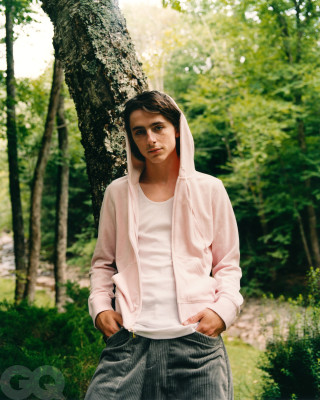 Timothee Chalamet pic #1295858