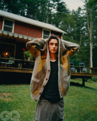 Timothee Chalamet pic #1295861