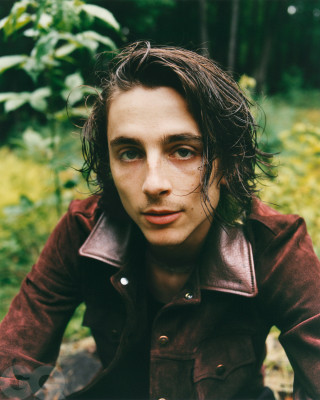 Timothee Chalamet pic #1295860