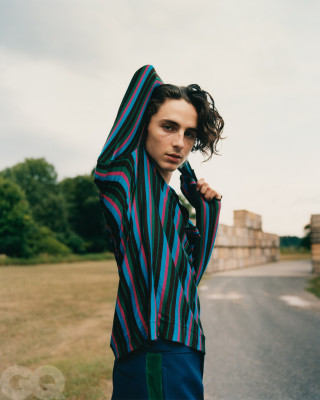 Timothee Chalamet pic #1295854