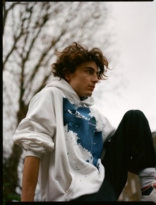 Timothee Chalamet pic #1290549
