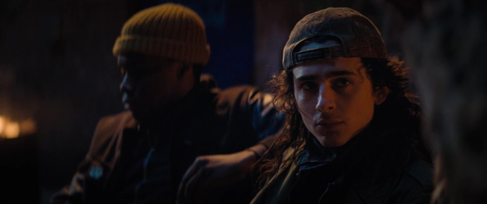 Timothee Chalamet pic #1320438