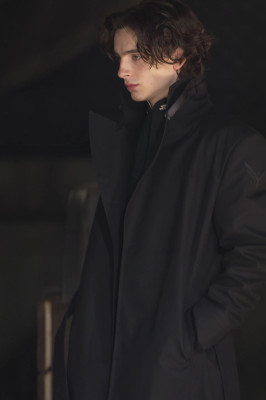 Timothee Chalamet pic #1355494