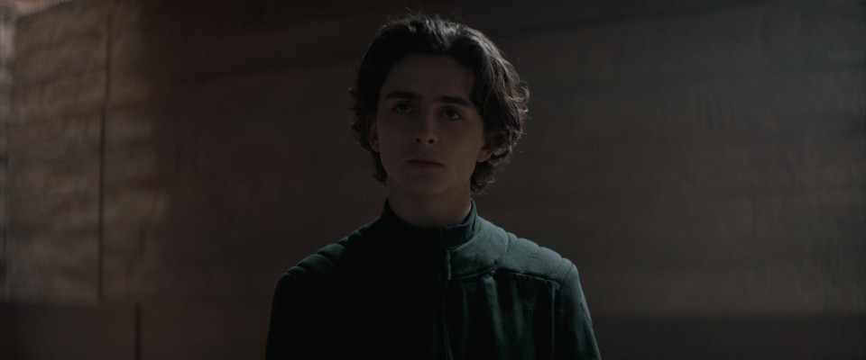 Timothee Chalamet pic #1309497