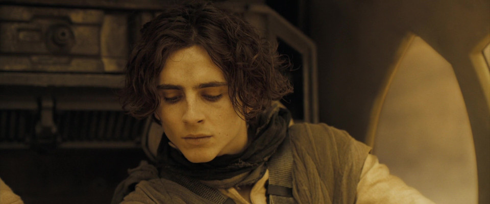 Timothee Chalamet pic #1320893