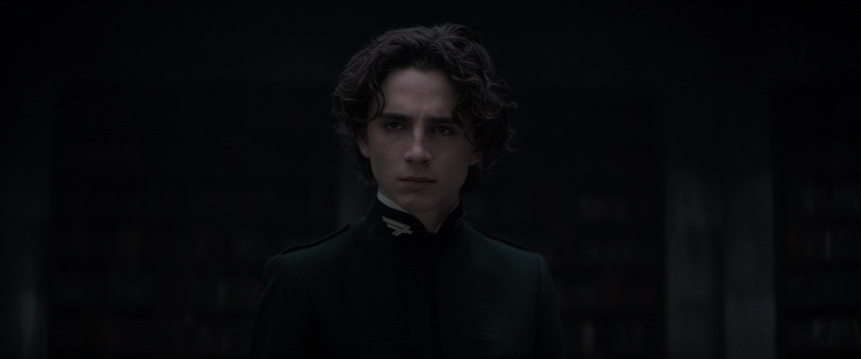 Timothee Chalamet pic #1320892