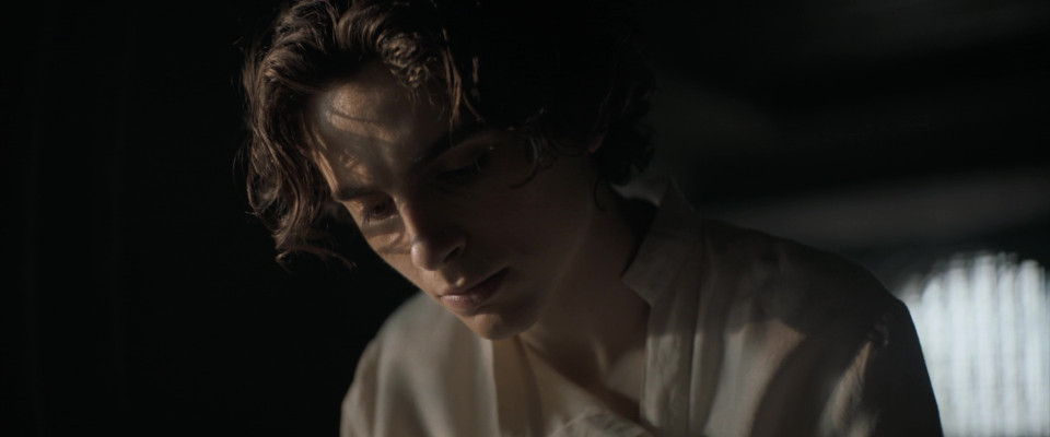 Timothee Chalamet pic #1328422