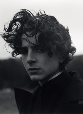 photo 21 in Timothee Chalamet gallery [id1354436] 2024-07-24 00:00:00