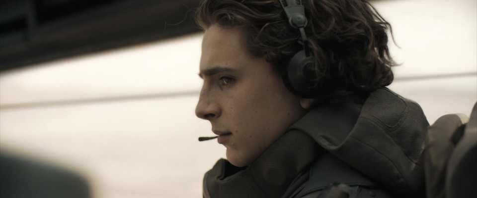 photo 23 in Chalamet gallery [id1362630] 2024-12-27 00:00:00