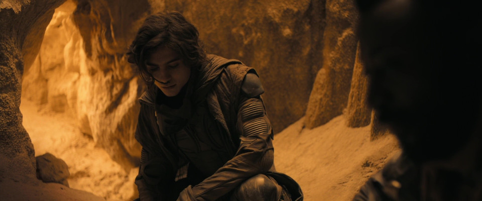 photo 23 in Timothee Chalamet gallery [id1328423] 2023-06-10 00:00:00