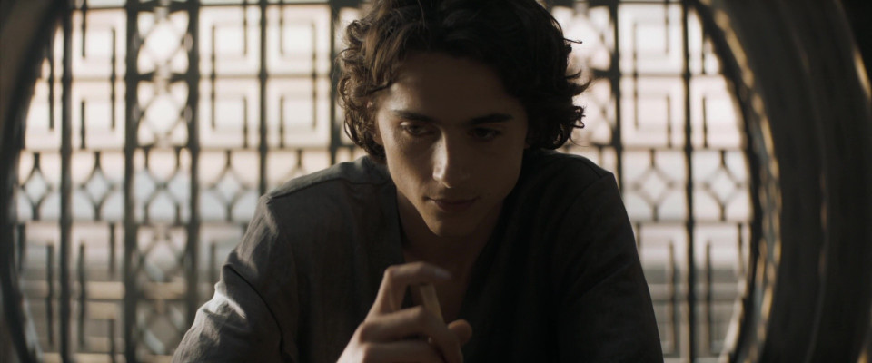 photo 13 in Timothee gallery [id1354870] 2024-08-04 00:00:00