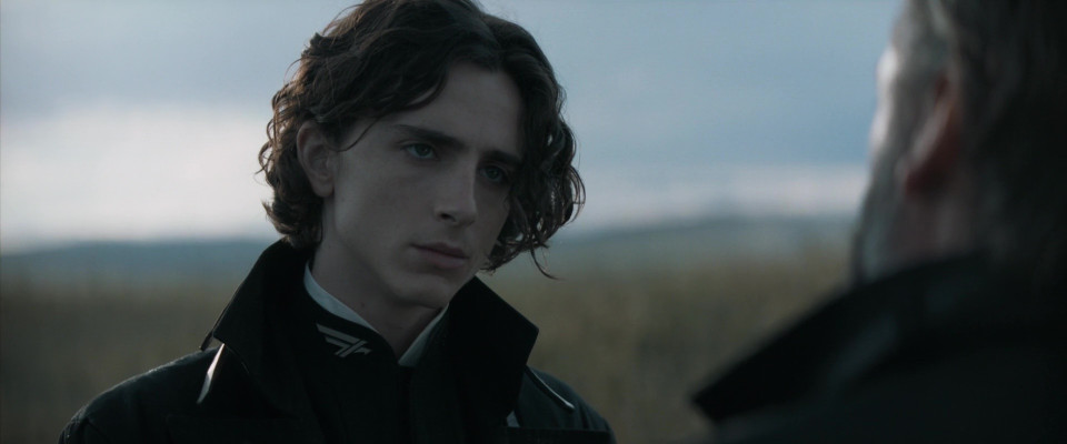 photo 22 in Timothee gallery [id1362631] 2024-12-27 00:00:00