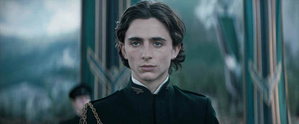 Timothee Chalamet pic #1309492
