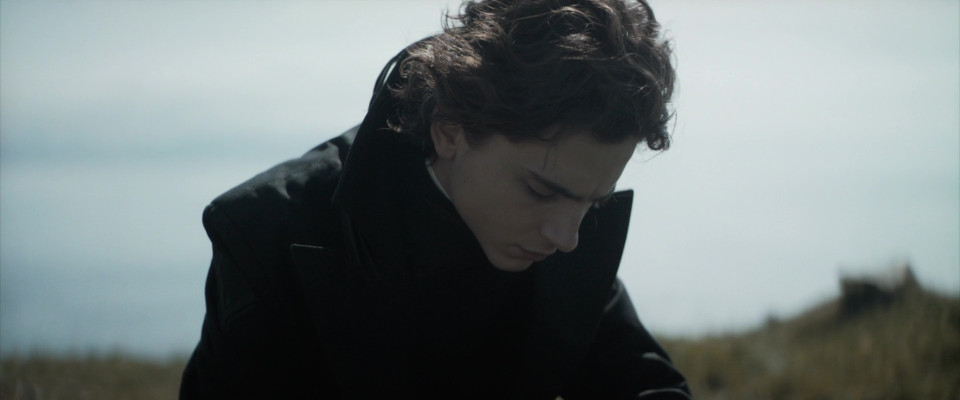 photo 12 in Timothee Chalamet gallery [id1354871] 2024-08-04 00:00:00