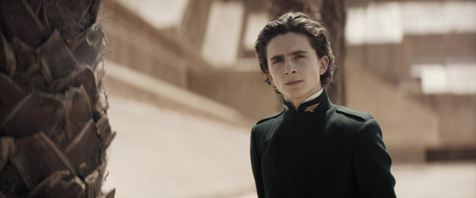 Timothee Chalamet pic #1328426