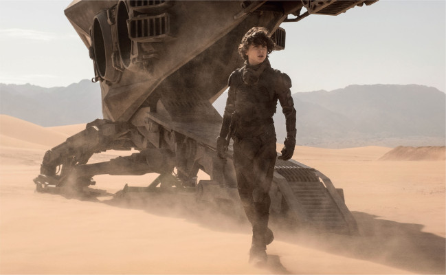 photo 10 in Timothee Chalamet gallery [id1354873] 2024-08-04 00:00:00