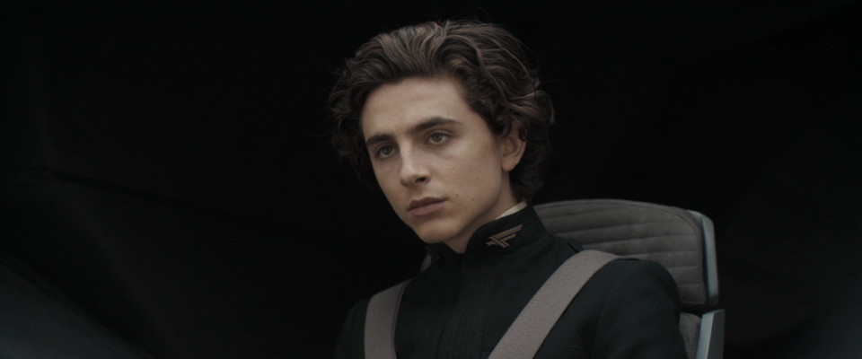 Timothee Chalamet pic #1309498