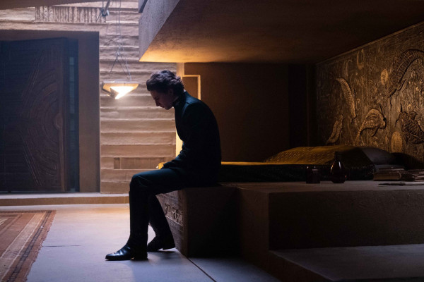 photo 28 in Timothee Chalamet gallery [id1355496] 2024-08-18 00:00:00