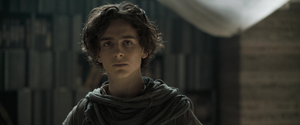 Timothee Chalamet pic #1309491