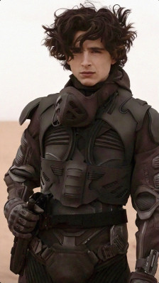 Timothee Chalamet pic #1323408
