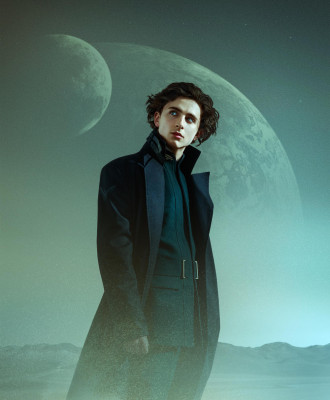 Timothee Chalamet pic #1269040
