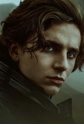 Timothee Chalamet pic #1269035